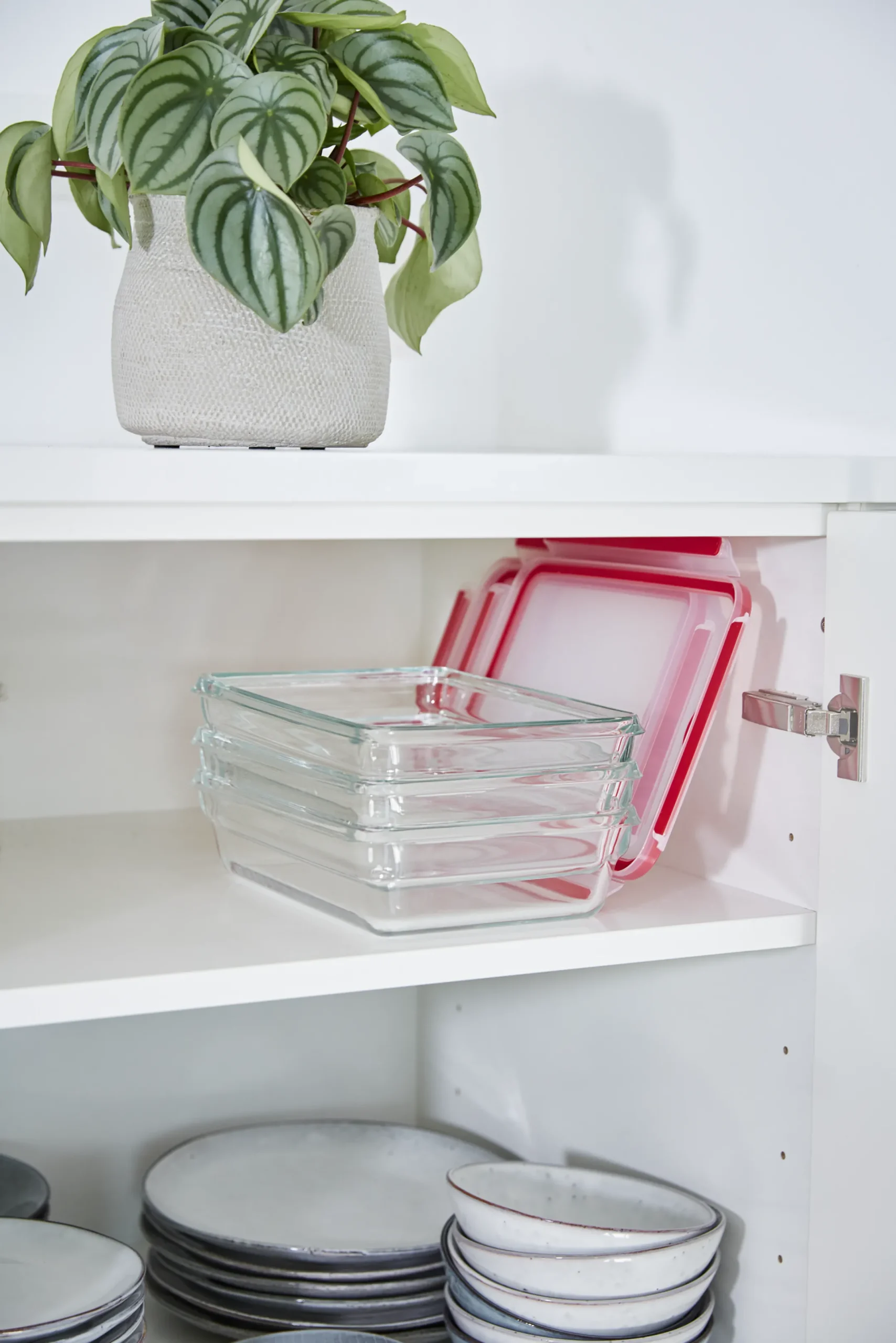 Masterseal Glass Boite Rect 3 L